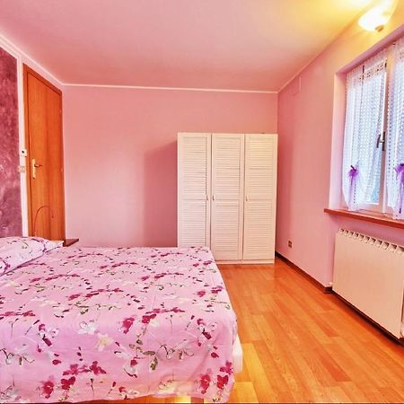Cip & Ciop Buia Room photo